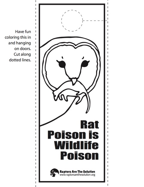 Free Outreach Materials - Raptors Are the Solution